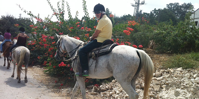 horse